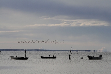 025-katia-bonaventura-photojournalism-barche-grado